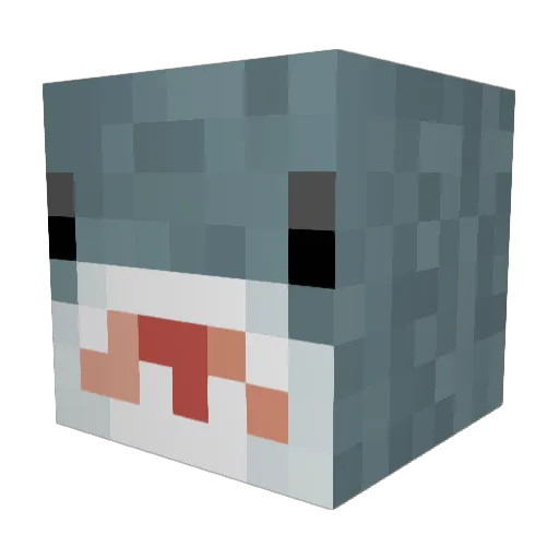 look_my_nikes Minecraft avatar head, 3D render
