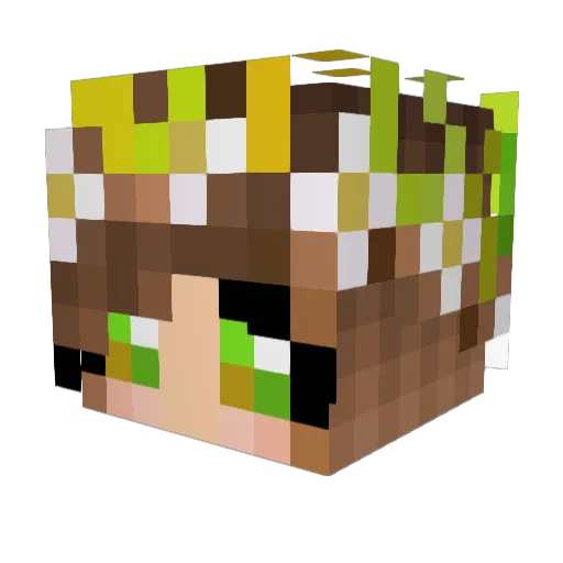 lookitselle Minecraft avatar head, 3D render