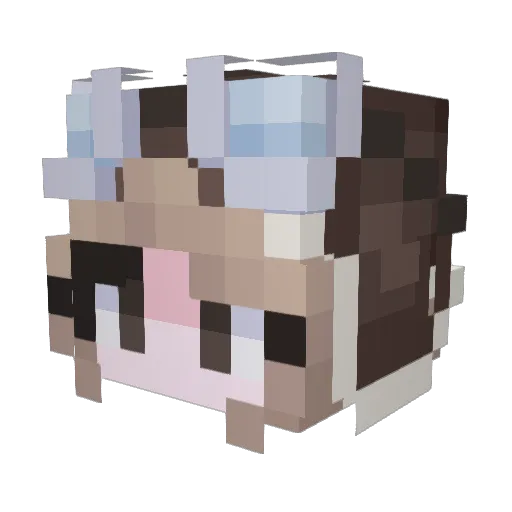 lool215 Minecraft avatar head, 3D render