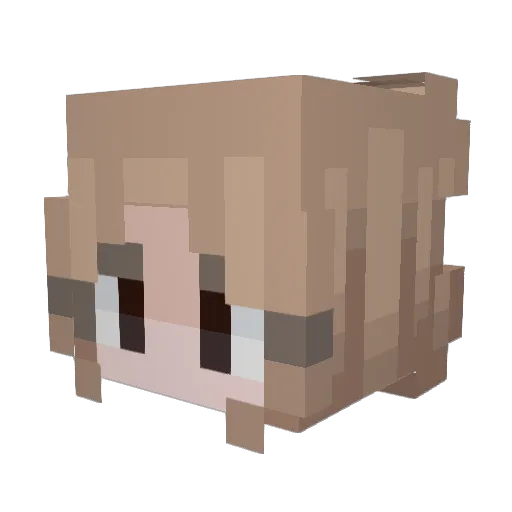 loonatheworld12 Minecraft avatar head, 3D render