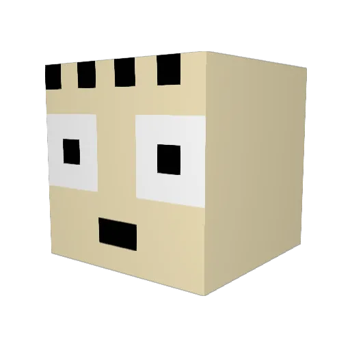 looneyleo Minecraft avatar head, 3D render