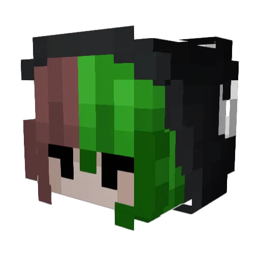 looneyloser88 Minecraft avatar head, 3D render
