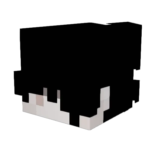 loooloooloool Minecraft avatar head, 3D render