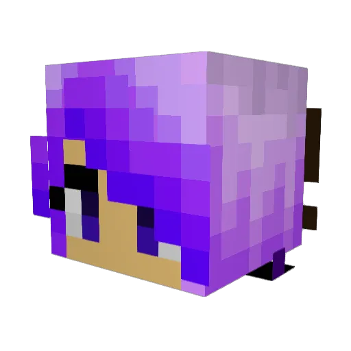 loopsthehunter Minecraft avatar head, 3D render