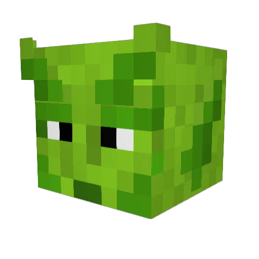 lopan31 Minecraft avatar head, 3D render