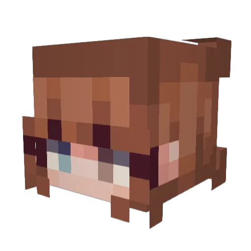 lopeoscar Minecraft avatar head, 3D render