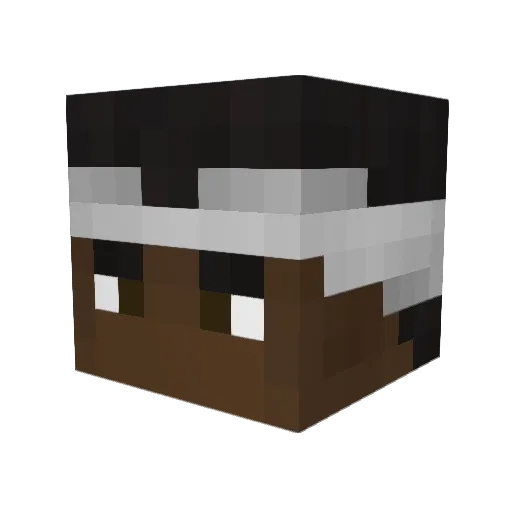 lopesppt98 Minecraft avatar head, 3D render
