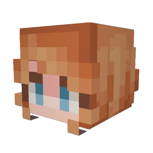 lopie99 Minecraft avatar head, 3D render