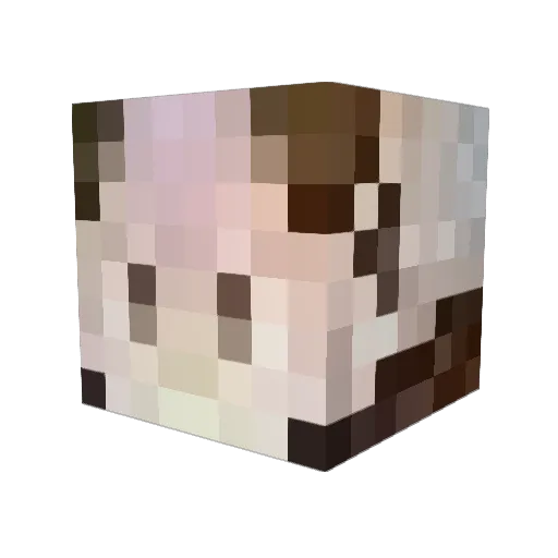 lopooooooo Minecraft avatar head, 3D render