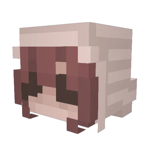 loppan2211 Minecraft avatar head, 3D render