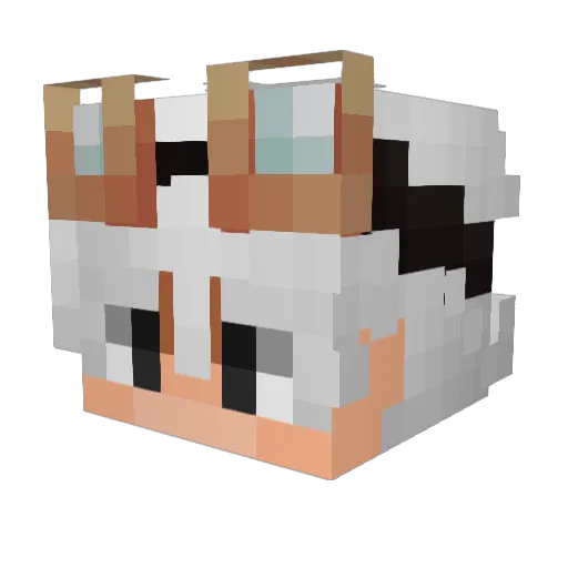 lops1 Minecraft avatar head, 3D render