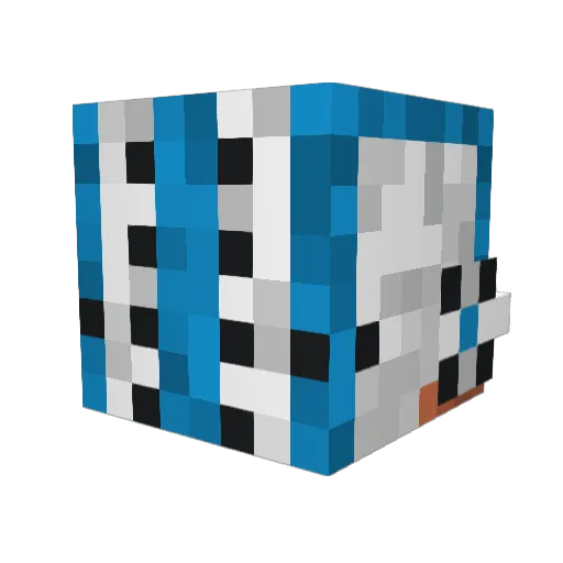 lord_vader19 Minecraft avatar head, 3D render