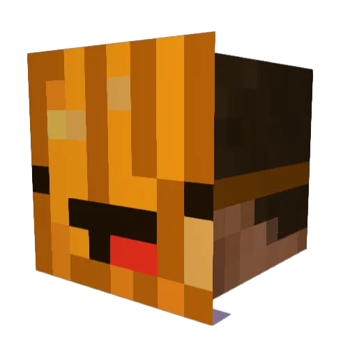 lordbarkingham Minecraft avatar head, 3D render