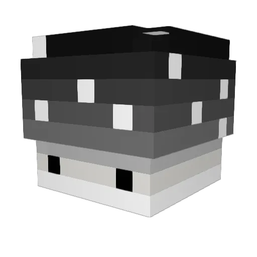lordcrayon Minecraft avatar head, 3D render