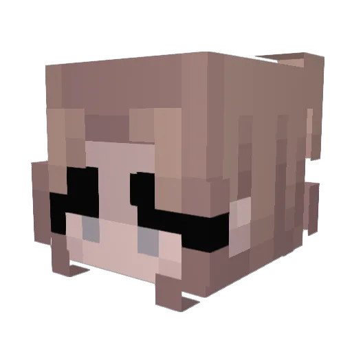 lordofemyo Minecraft avatar head, 3D render