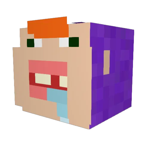 lordpenn Minecraft avatar head, 3D render