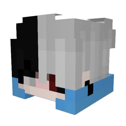 lordragonn Minecraft avatar head, 3D render