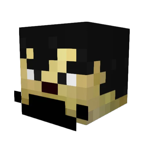 lordseth101 Minecraft avatar head, 3D render
