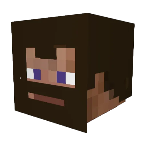 lordsteve08 Minecraft avatar head, 3D render