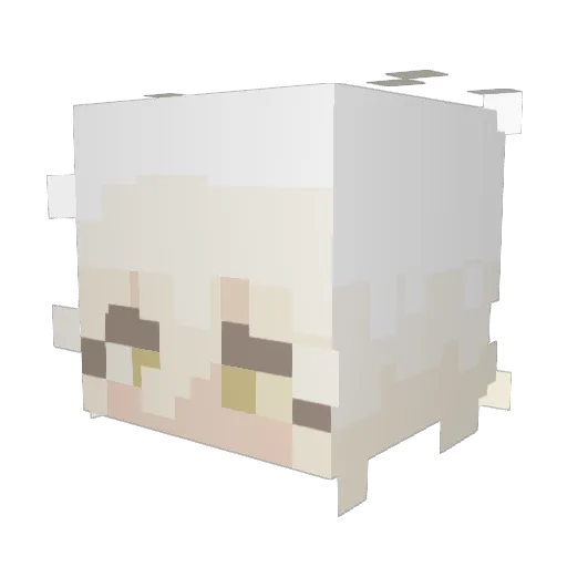 lorenzisad Minecraft avatar head, 3D render