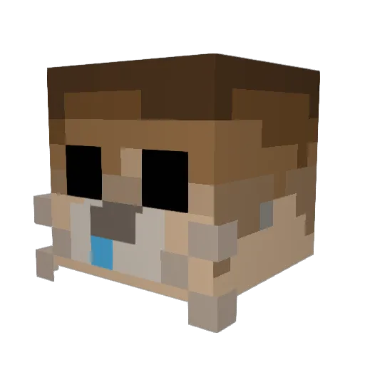 lorikeet123 Minecraft avatar head, 3D render