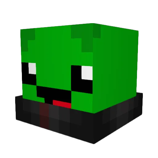 losa2 Minecraft avatar head, 3D render