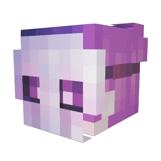 loser18777 Minecraft avatar head, 3D render