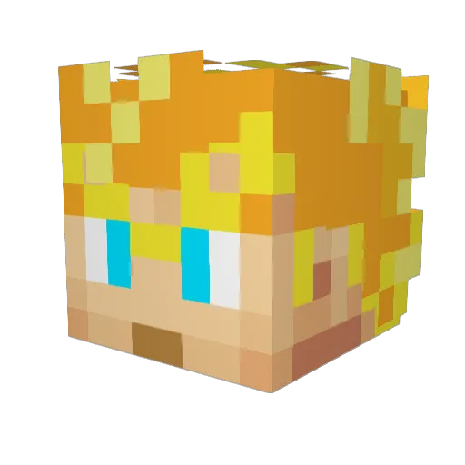losnicoletti Minecraft avatar head, 3D render