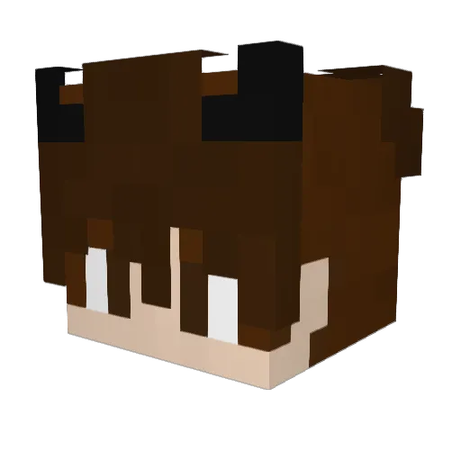 losonkojr Minecraft avatar head, 3D render