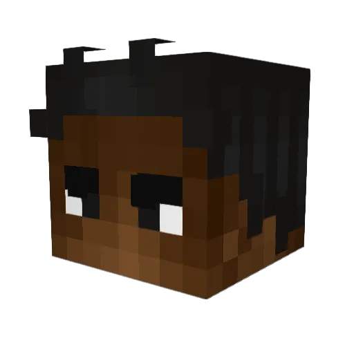 losses_don Minecraft avatar head, 3D render
