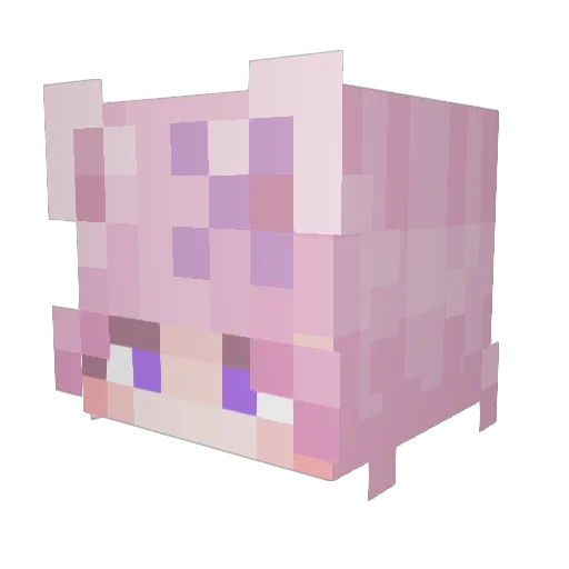 lostbvnnyttv Minecraft avatar head, 3D render