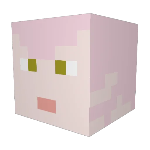 lostedmemarbles Minecraft avatar head, 3D render