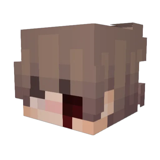 lostfeelingss Minecraft avatar head, 3D render