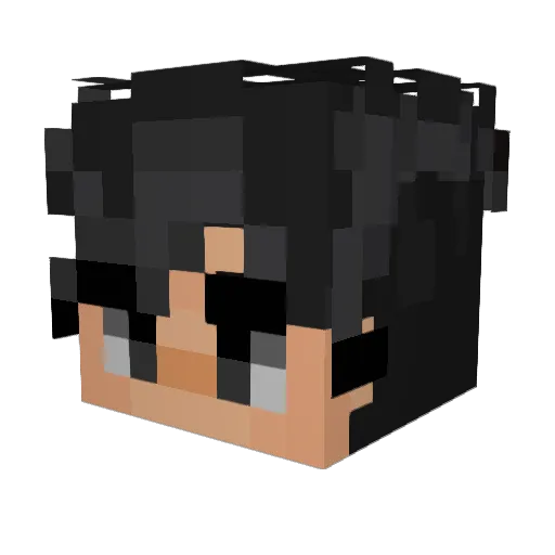 lostinlasalsa Minecraft avatar head, 3D render