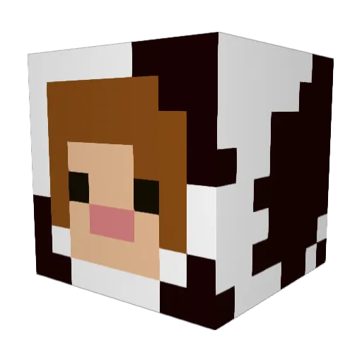 lostjester Minecraft avatar head, 3D render
