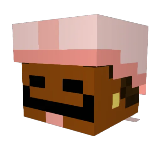 lostmydurag Minecraft avatar head, 3D render
