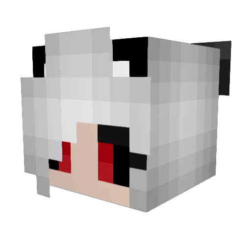 lostnightdream Minecraft avatar head, 3D render