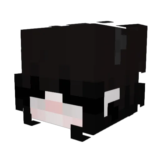 loszie Minecraft avatar head, 3D render