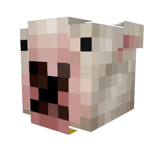 lother03 Minecraft avatar head, 3D render