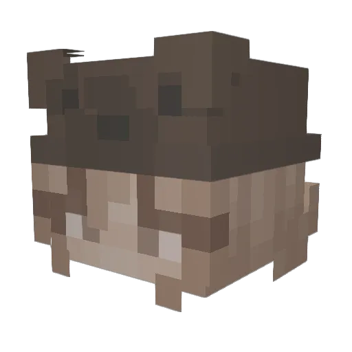 lotima Minecraft avatar head, 3D render