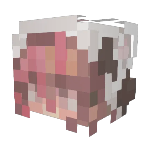 lotteon Minecraft avatar head, 3D render
