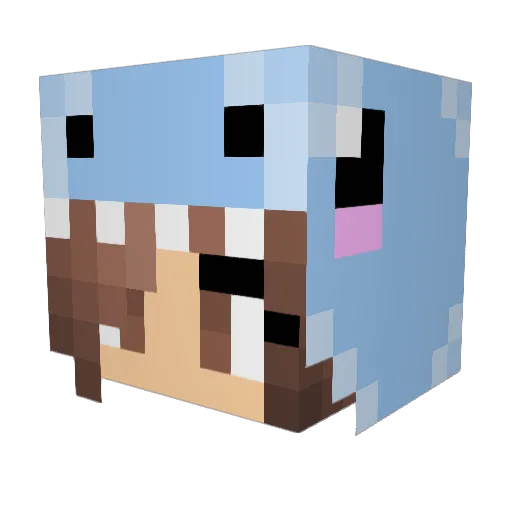 lottie507 Minecraft avatar head, 3D render