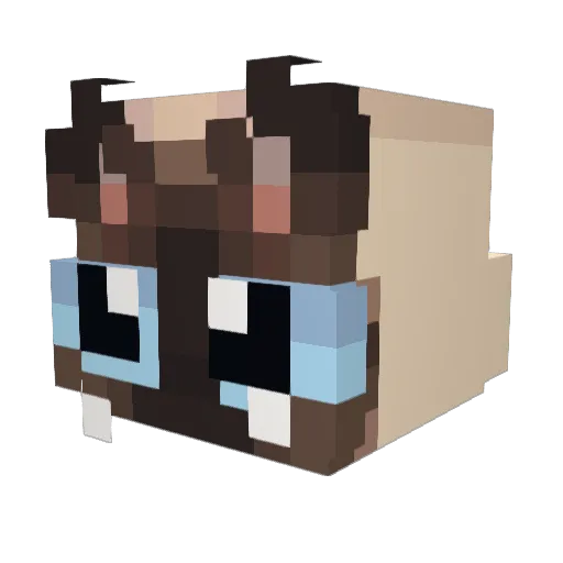 lotusotter Minecraft avatar head, 3D render