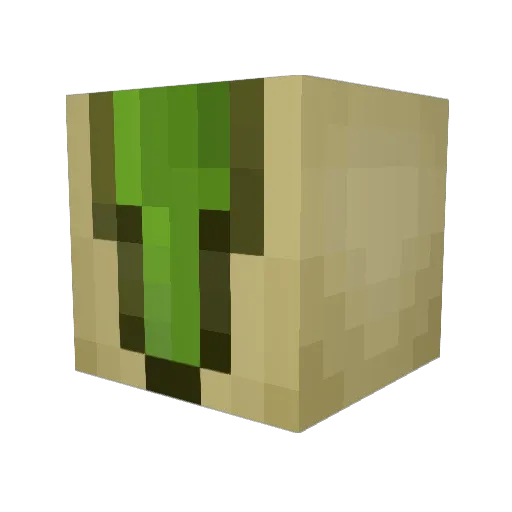 loudpastachio Minecraft avatar head, 3D render