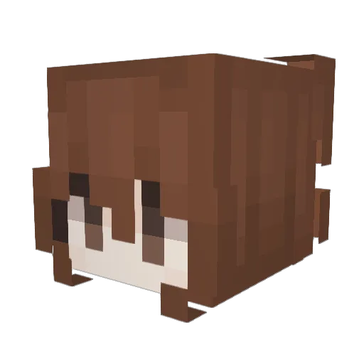 louiizx Minecraft avatar head, 3D render