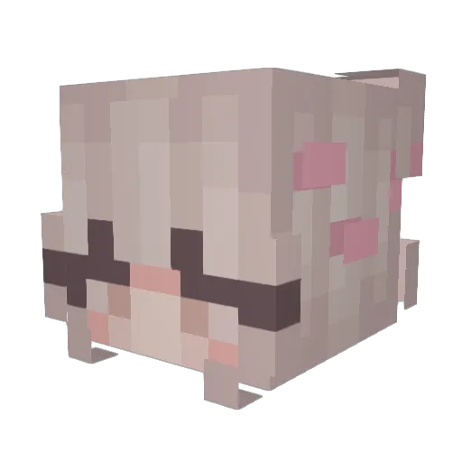 louisnb2 Minecraft avatar head, 3D render