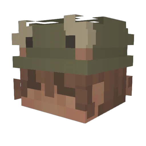 louisxlll Minecraft avatar head, 3D render