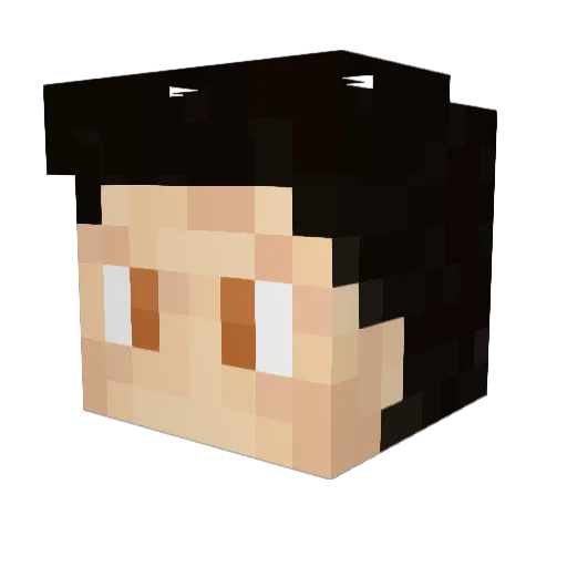 louithefly9 Minecraft avatar head, 3D render