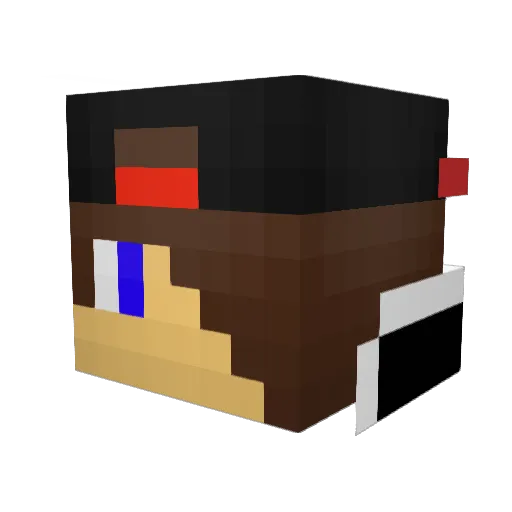 loulou1901 Minecraft avatar head, 3D render