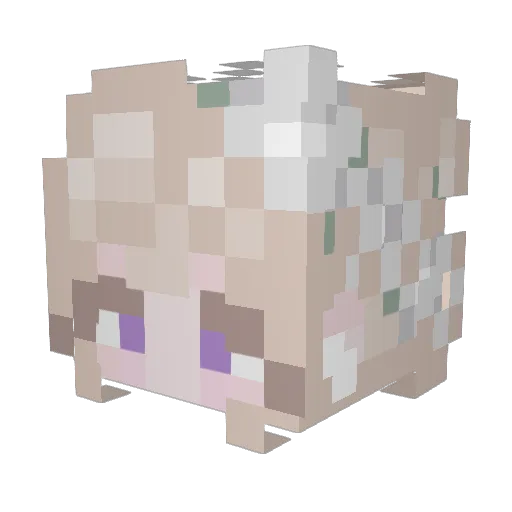 lousticcc Minecraft avatar head, 3D render